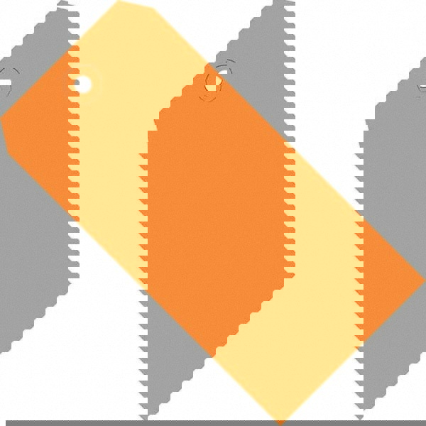 Blank Tag: 5-3/4'' High, Orange, Synthetic Paper